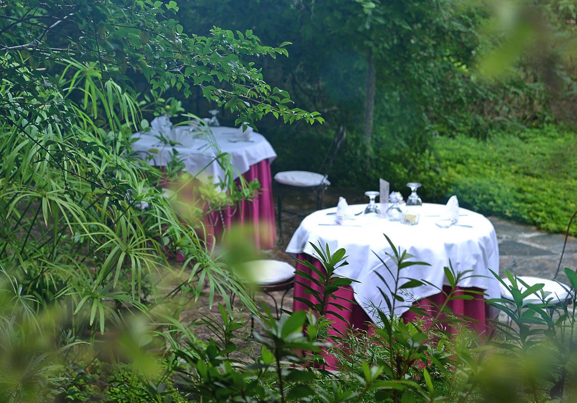 Bed and Breakfast La Casa Rosada Copan Ruinas Zewnętrze zdjęcie